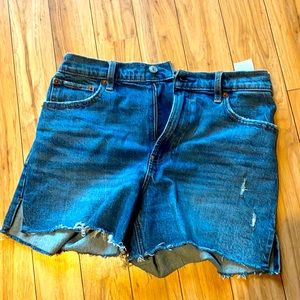 NWOT Abercrombie and Fitch High Rise 4” short